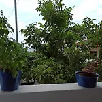 Apartament Doras House In Village άνετο υπέροχη θέα Pyrgadikia